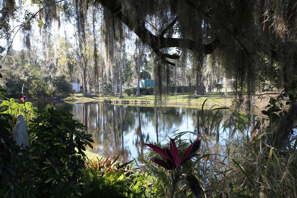 Sherwood Forest Cottage 3 Kissimmee Exteriör bild